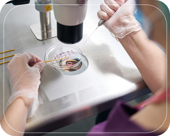 IVF Blastocyst Transfer in Rewari