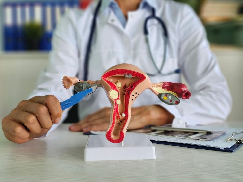 Hysteroscopy Treatment in Rewari