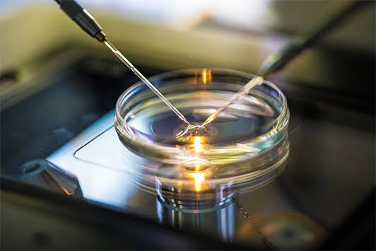 Best IVF Treatment Center in Rewari